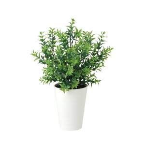 tFCNO[y {bNXEbh z20 × s20 × 35cmItBXO[ ϗtA tFCN lHϗtA  JƏj JXj ړ]j Vzj 蕨 