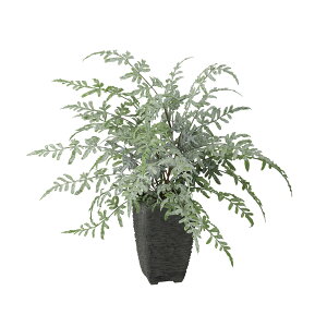 tFCNO[y veX z45 × s35 × 40cmItBXO[ ϗtA tFCN lHϗtA  JƏj JXj ړ]j Vzj 蕨 