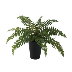 tFCNO[y {Xgt@ z45 × s45 × 30cmItBXO[ ϗtA tFCN lHϗtA  JƏj JXj ړ]j Vzj 蕨 