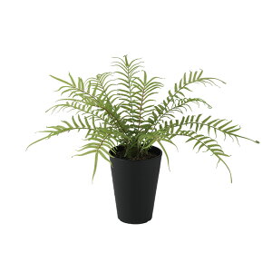 tFCNO[y G} qEV_ z50 × s50 × 35cmItBXO[ ϗtA tFCN lHϗtA  JƏj JXj ړ]j Vzj 蕨 