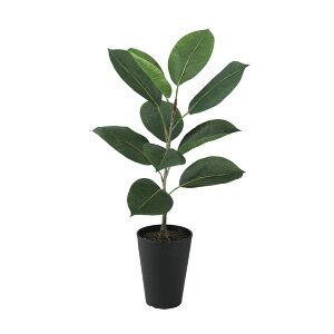 tFCNO[y fRS [c|bg z30 × s30 × 55cmItBXO[ ϗtA tFCN lHϗtA  JƏj JXj ړ]j Vzj 蕨 