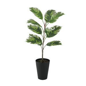 tFCNO[y G} fRgJ[ [c|bg z30 × s30 × 55cmItBXO[ ϗtA tFCN lHϗtA  JƏj JXj ړ]j Vzj 蕨 