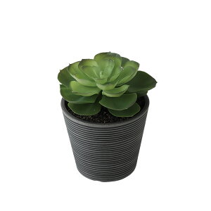 tFCNO[y G} GPxA |bg z15 × s15 × 17cmItBXO[ ϗtA tFCN lHϗtA  JƏj JXj ړ]j Vzj 蕨 