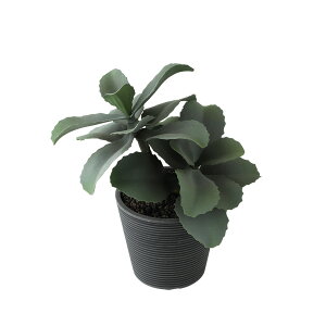 tFCNO[y G} WFChvg |bg z25 × s20 × 30cmItBXO[ ϗtA tFCN lHϗtA  JƏj JXj ړ]j Vzj 蕨 