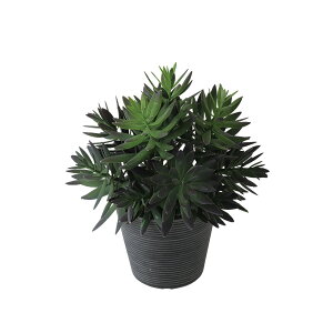 tFCNO[y TbJg |bg z23 × s23 × 28cmItBXO[ ϗtA tFCN lHϗtA  JƏj JXj ړ]j Vzj 蕨 