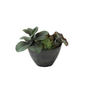 tFCNO[y WFChvg MIX z30 × s20 × 20cmItBXO[ ϗtA tFCN lHϗtA  JƏj JXj ړ]j Vzj 蕨 