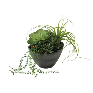 tFCNO[y G} GPxA MIX z15 × s15 × 17cmItBXO[ ϗtA tFCN lHϗtA  JƏj JXj ړ]j Vzj 蕨 