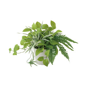 tFCNO[y G} C|gXMIX z40 × s40 × 25cmItBXO[ ϗtA tFCN lHϗtA  JƏj JXj ړ]j Vzj 蕨 