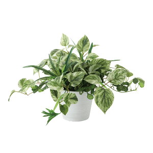 tFCNO[y }[u|gXMIX z40 × s40 × 25cmItBXO[ ϗtA tFCN lHϗtA  JƏj JXj ړ]j Vzj 蕨 