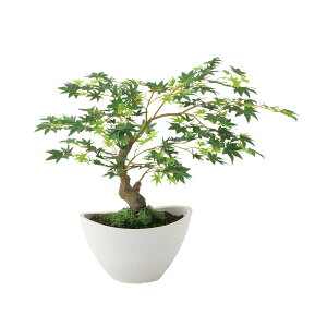 tFCNO[y }~W {E GREEN z50 × s50 × 45cmItBXO[ ϗtA tFCN lHϗtA  JƏj JXj ړ]j Vzj 蕨 