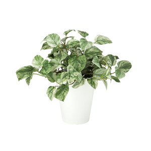 tFCNO[y G} }[u|gX z30 × s30 × 30cmItBXO[ ϗtA tFCN lHϗtA  JƏj JXj ړ]j Vzj 蕨 