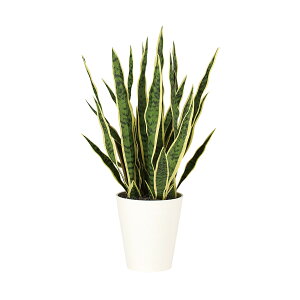 tFCNO[y TXxA z40 × s40 × 75cmItBXO[ ϗtA tFCN lHϗtA ^ JƏj JXj ړ]j Vzj 蕨 