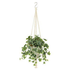 tFCNO[y G} OCVAACr[ z40 × s40 × 25 × 35cmi75cmjItBXO[ ϗtA tFCN lHϗtA  nMO JƏj JXj ړ]j 