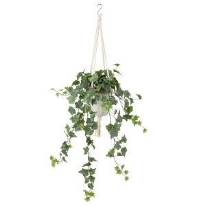 tFCNO[y tXgACr[ nMO z40 × s35 × 25 × 70cmi110cmjItBXO[ ϗtA tFCN lHϗtA  nMO JƏj JXj ړ]j