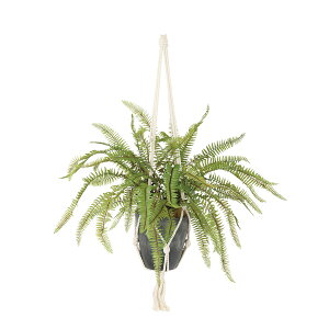 tFCNO[y G} \[ht@ z40 × s40 × 35 × 40cmi75cmjItBXO[ ϗtA tFCN lHϗtA  nMO JƏj JXj ړ]j Vzj