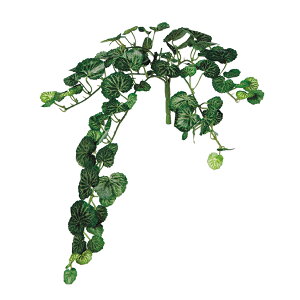 tFCNO[y TLVtKubV z30 × s15 × 44cmItBXO[ ϗtA tFCN lHϗtA  AW  ݂  u 