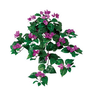 tFCNO[y u[QrAnMO z50 × s30 × 70cmItBXO[ ϗtA tFCN lHϗtA  AW  ݂  u 