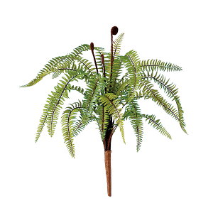 tFCNO[y \[ht@ z35 × s35 × 35cmItBXO[ ϗtA tFCN lHϗtA  AW  ݂  u 