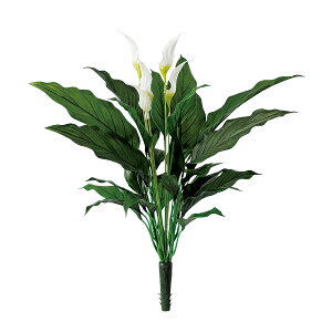 tFCNO[y XpeBtB PE z50 × s50 × 50cmItBXO[ ϗtA tFCN lHϗtA  AW  ݂  u 