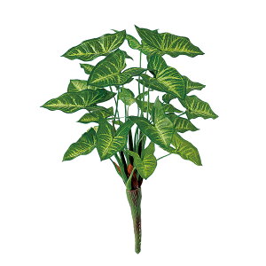 tFCNO[y VSjE z30 × s30 × 40cmItBXO[ ϗtA tFCN lHϗtA  AW  ݂  u 