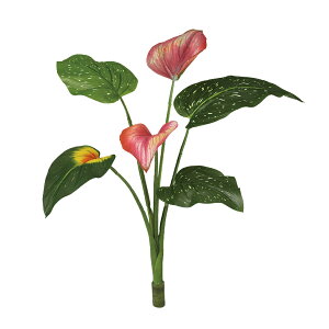 tFCNO[y J[ z40 × s35 × 40cmItBXO[ ϗtA tFCN lHϗtA  AW  ݂  u 