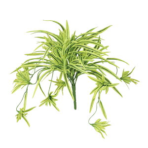 tFCNO[y Id G/Y z30 × s30 × 25cmItBXO[ ϗtA tFCN lHϗtA  AW  ݂  u 