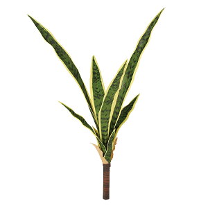 tFCNO[y TXxA z30 × s25 × 60cmItBXO[ ϗtA tFCN lHϗtA  AW  ݂  u 