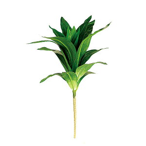 tFCNO[y Grl z20 × s20 × 25cmItBXO[ ϗtA tFCN lHϗtA  AW  ݂  u 