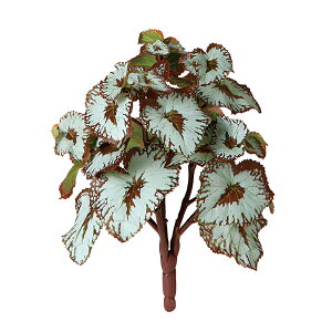 tFCNO[y xSjA z20 × s20 × 25cmItBXO[ ϗtA tFCN lHϗtA  AW  ݂  u 