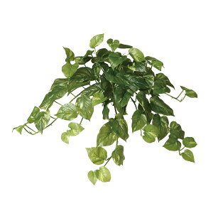 tFCNO[y |gXubV z55 × s30 × 50cmItBXO[ ϗtA tFCN lHϗtA  AW  ݂  u 