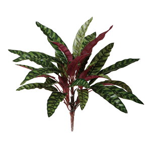 tFCNO[y LtHA z45 × s45 × 40cmItBXO[ ϗtA tFCN lHϗtA  AW  ݂  u 