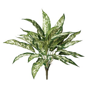 tFCNO[y AOIl} z45 × s45 × 40cmItBXO[ ϗtA tFCN lHϗtA  AW  ݂  u 