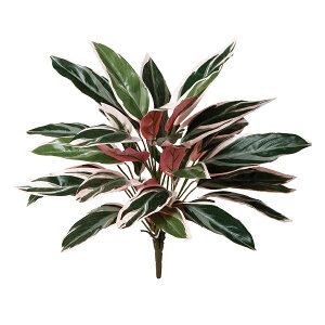 tFCNO[y gIX^[ z45 × s45 × 40cmItBXO[ ϗtA tFCN lHϗtA  AW  ݂  u 