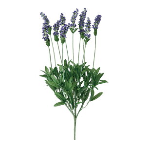 tFCNO[y x_[ z20 × s20 × 47cmItBXO[ ϗtA tFCN lHϗtA  AW  ݂  u 