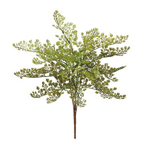 tFCNO[y AWA^ z35 × s35 × 35cmItBXO[ ϗtA tFCN lHϗtA  AW  ݂  u 