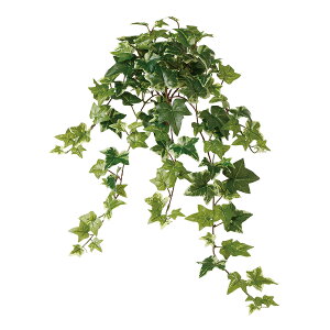 tFCNO[y tBbgjA z35 × s35 × 40cmItBXO[ ϗtA tFCN lHϗtA  AW  ݂  u 