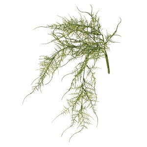 tFCNO[y AXpKX z50cmItBXO[ ϗtA tFCN lHϗtA  AW  ݂  u 