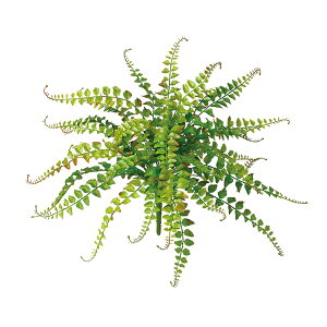 tFCNO[y ChOXt@ z50 × s50 × 35cmItBXO[ ϗtA tFCN lHϗtA  AW  ݂  u 