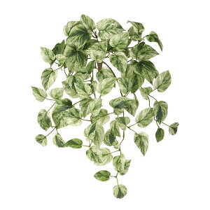 tFCNO[y }[u|gX z30 × s25 × 50cmItBXO[ ϗtA tFCN lHϗtA  AW  ݂  u 