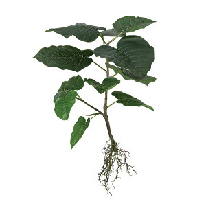 tFCNO[y HQ Ex[^@[c z45 × s35 × 45cmItBXO[ ϗtA tFCN lHϗtA  AW  ݂  u 