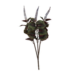 tFCNO[y REX z20 × s20 × 50cmItBXO[ ϗtA tFCN lHϗtA  AW  ݂  u 