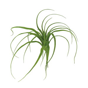 tFCNO[y `WA S z30 × s20 × 22cmItBXO[ ϗtA tFCN lHϗtA  AW  ݂  u 