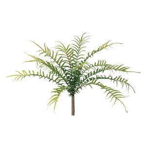 tFCNO[y qEV_ z50 × s50 × 30cmItBXO[ ϗtA tFCN lHϗtA  AW  ݂  u 