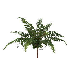 tFCNO[y {Xgt@ z45 × s45 × 30cmItBXO[ ϗtA tFCN lHϗtA  AW  ݂  u 