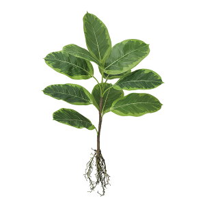 tFCNO[y AeV} [c z30 × s30 × 50cmItBXO[ ϗtA tFCN lHϗtA  AW  ݂  u 