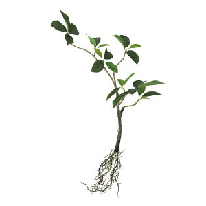 tFCNO[y KW} [c z25 × s20 × 50cmItBXO[ ϗtA tFCN lHϗtA  AW  ݂  u 