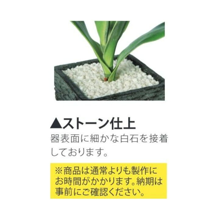 楽天市場】フェイクグリーン【 光触媒 ライプオリーブ 】幅25 × 奥行20 