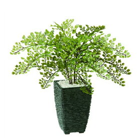 楽天市場 フェイクグリーン 卓上 種類 植物 アジアンタム の通販