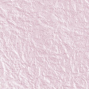 ��� �z�E�\�E�V�p�[������ TH026 4512427058381�i5�Z�b�g�j