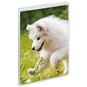 ZLZC KP-7005 [ ~j|PtHgAo KGTCYinKL/|XgJ[hj ^e 20] 4974214181502